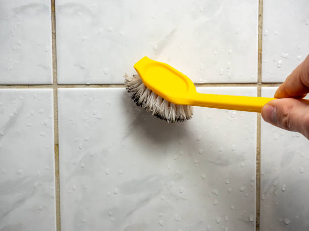 Best Commercial Mold Remediation in Wake Forest, NC
