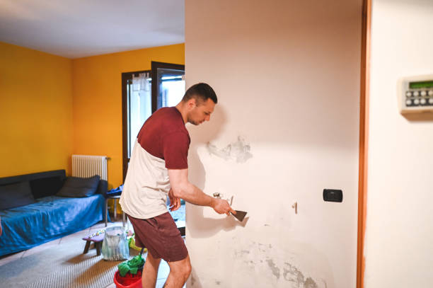 Best Black Mold Remediation in Wake Forest, NC